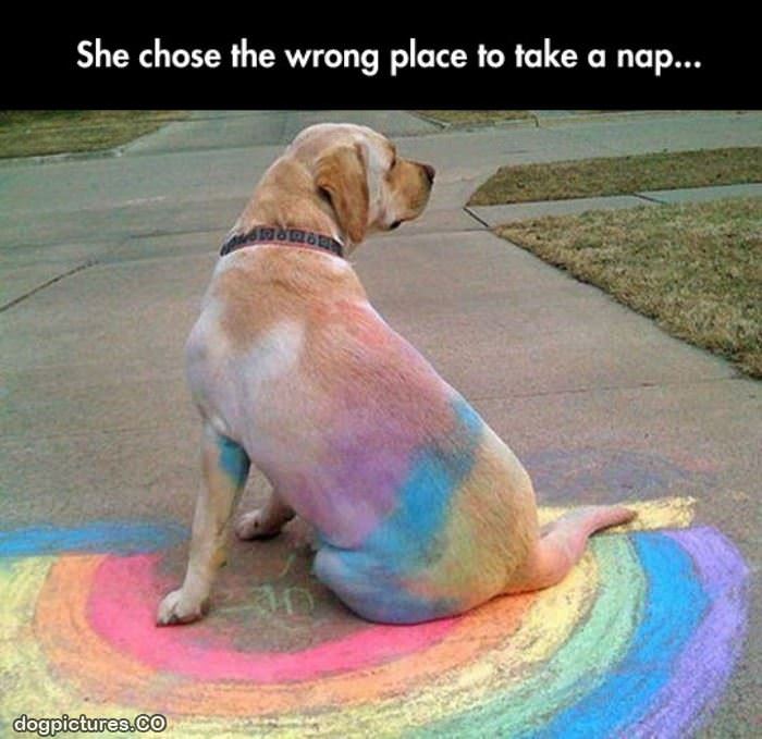 a rainbow nap