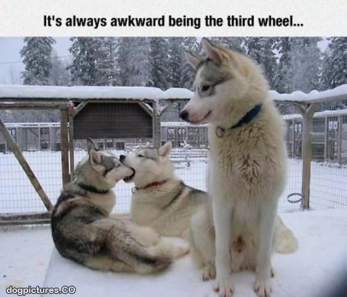 always awkward