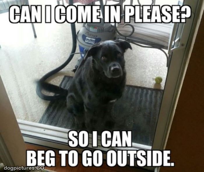 can i come in