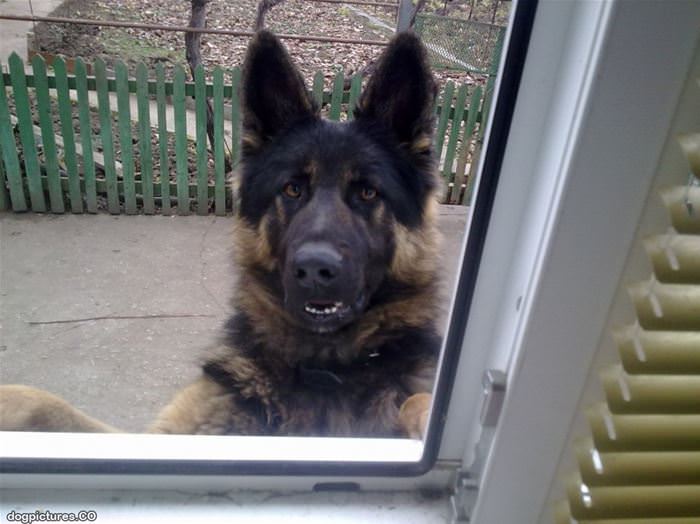 can i come in now