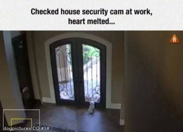 checked my security cam