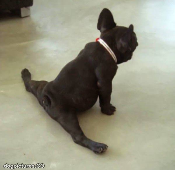 doing my splits