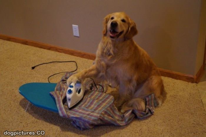 doing some ironing