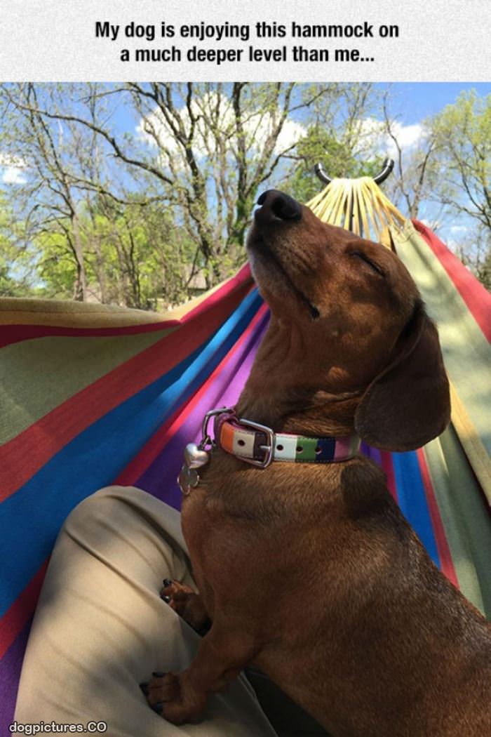 enjoying the hammock