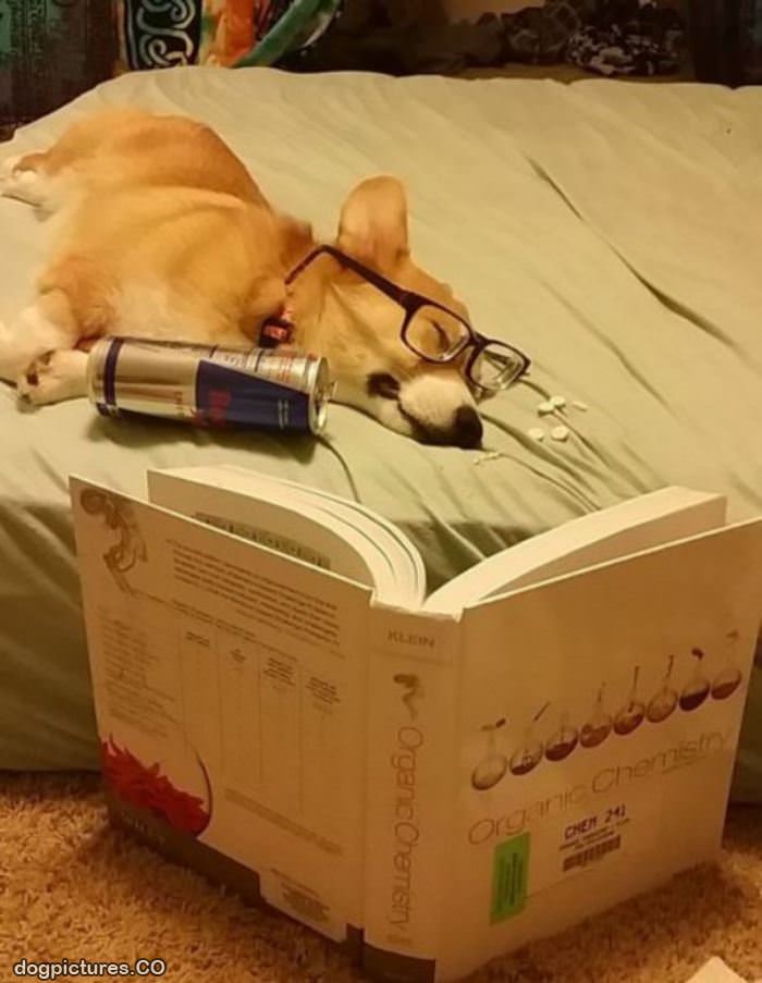 fell asleep reading