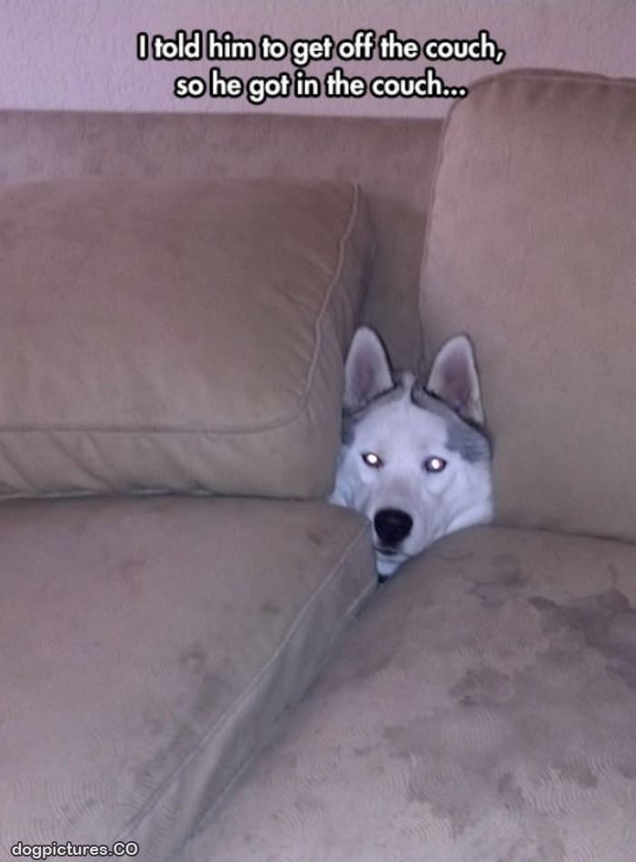 get off the couch