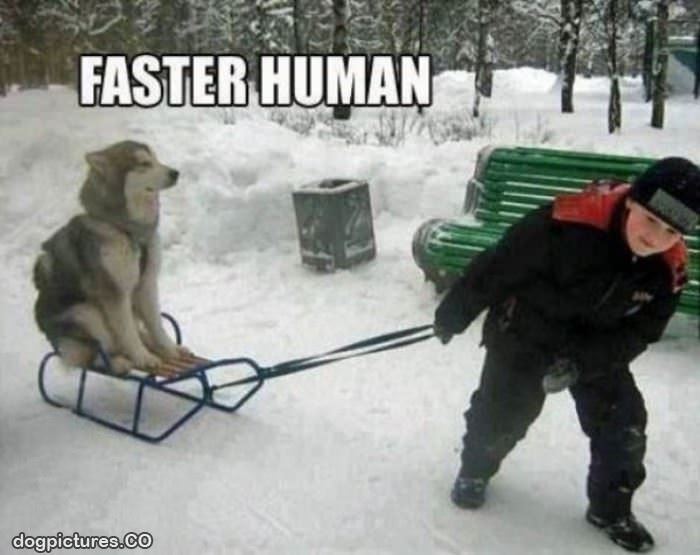 go faster human