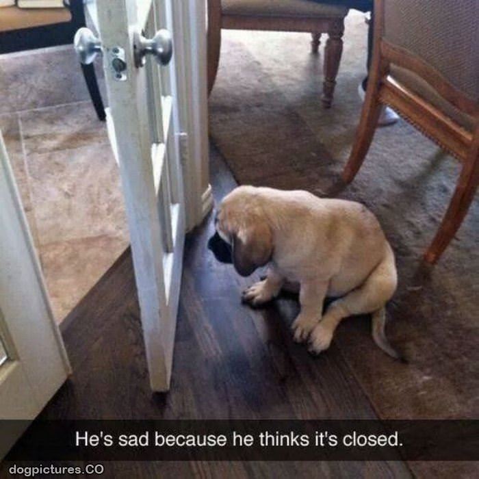he is sad