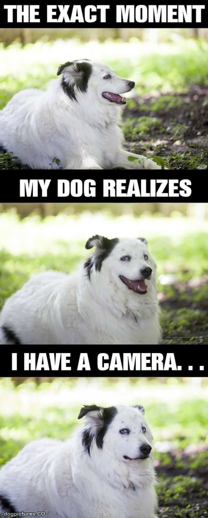 i have a camera