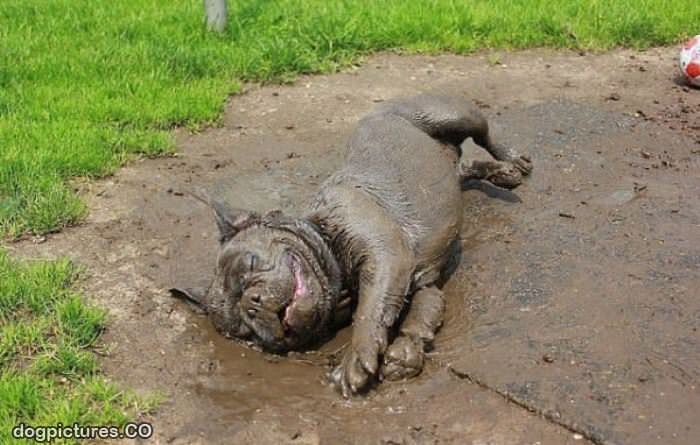 i loooove the mud