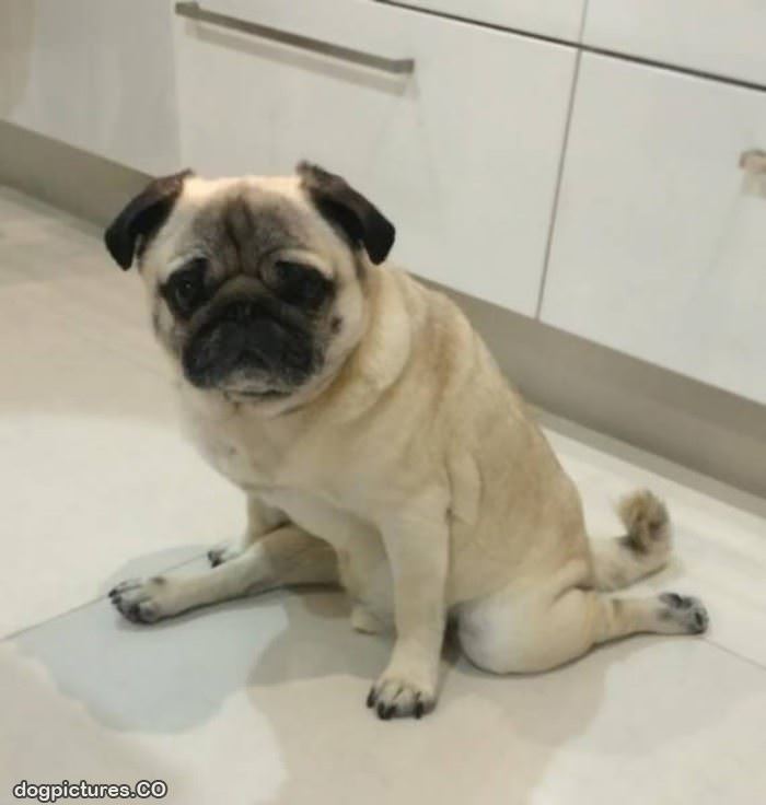 i sit how i want to sit