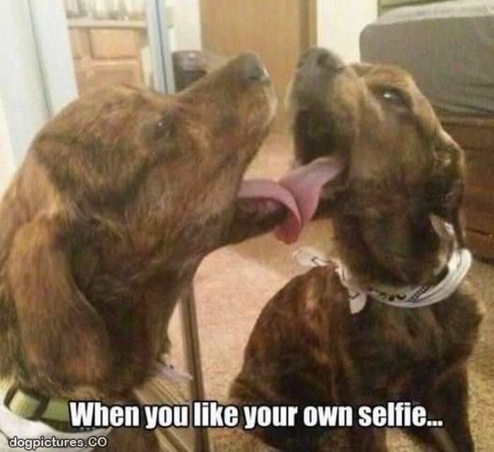 like your own selfie