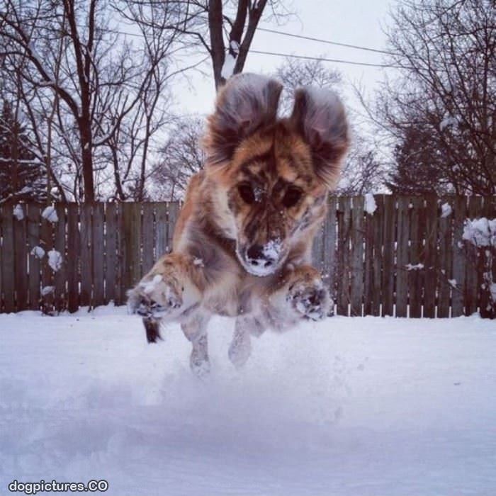 snowy jump attack
