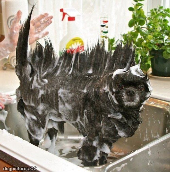 soapy bath time