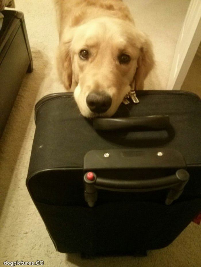 take me with you please