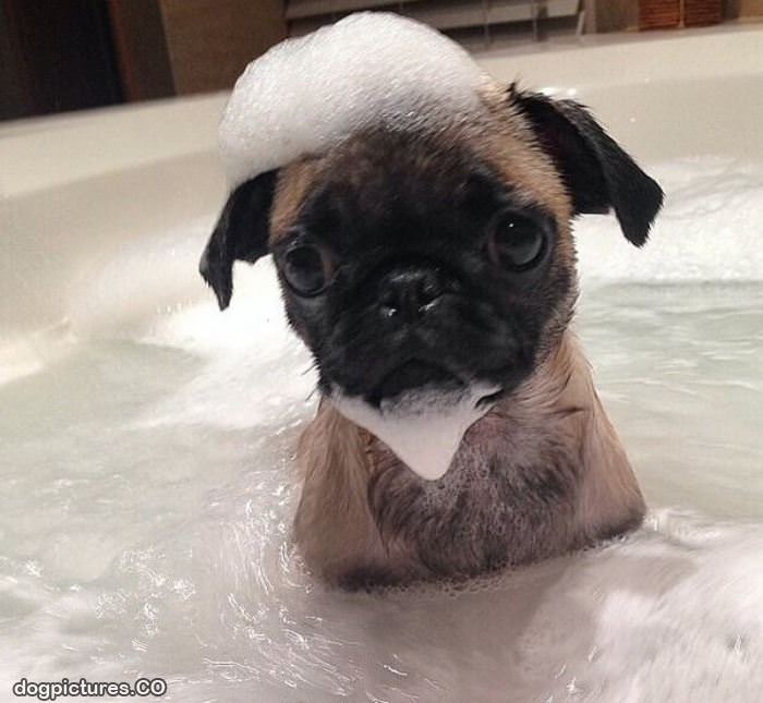 tiny bath
