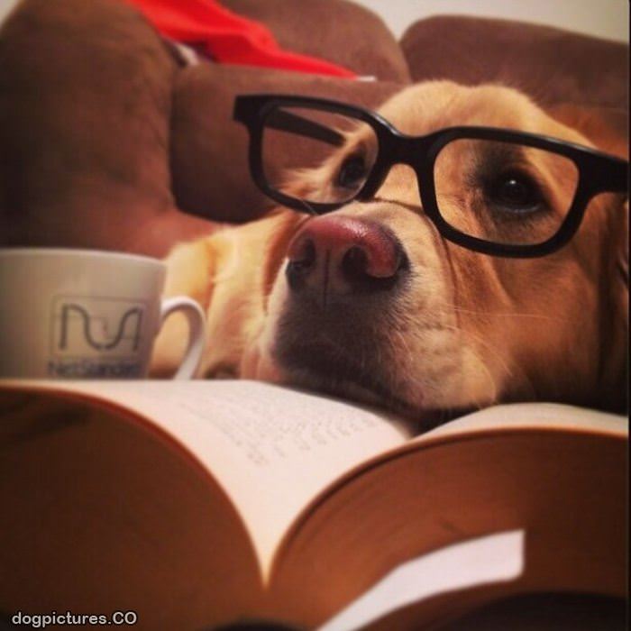 very studious