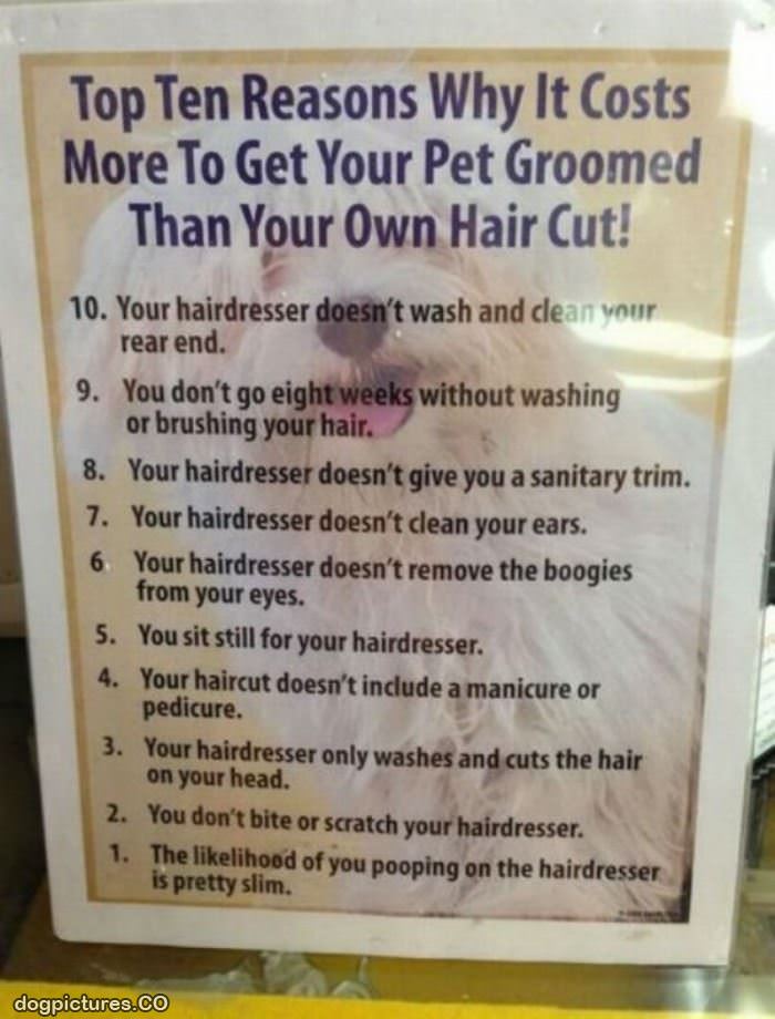 why grooming costs more