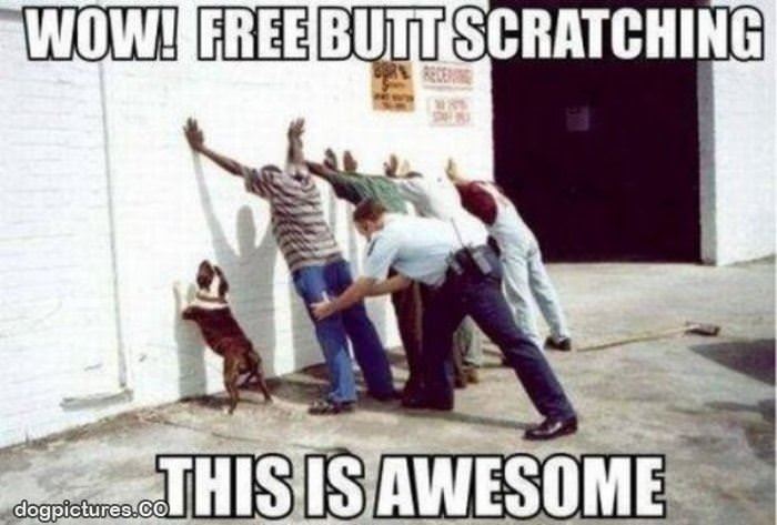 wow free buttscratch