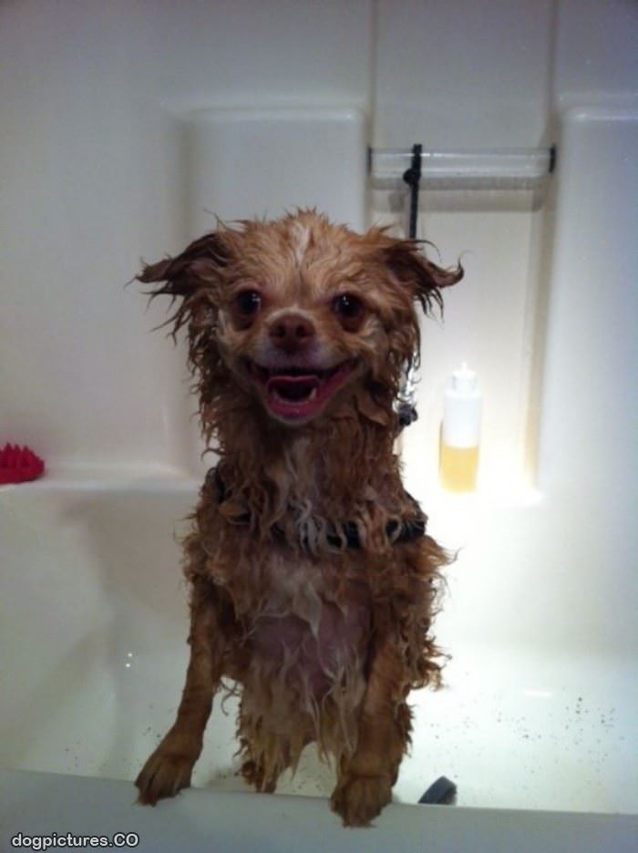 yaaaaaa bath time