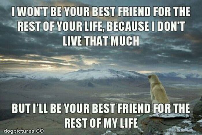your best friend