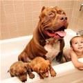 Whole Family Bath Time