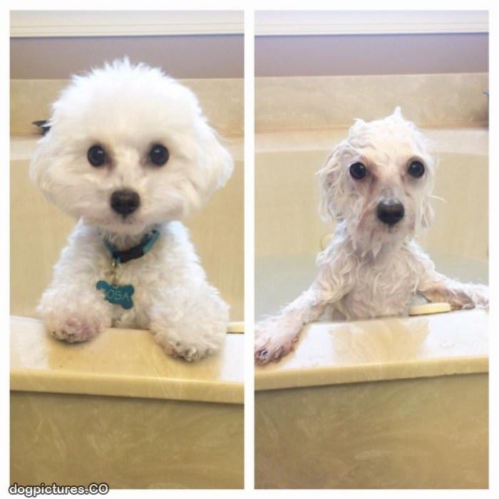 before and after bath