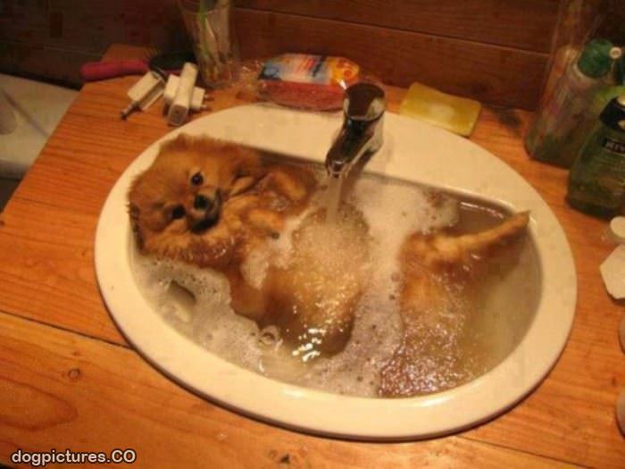 taking a warm bath